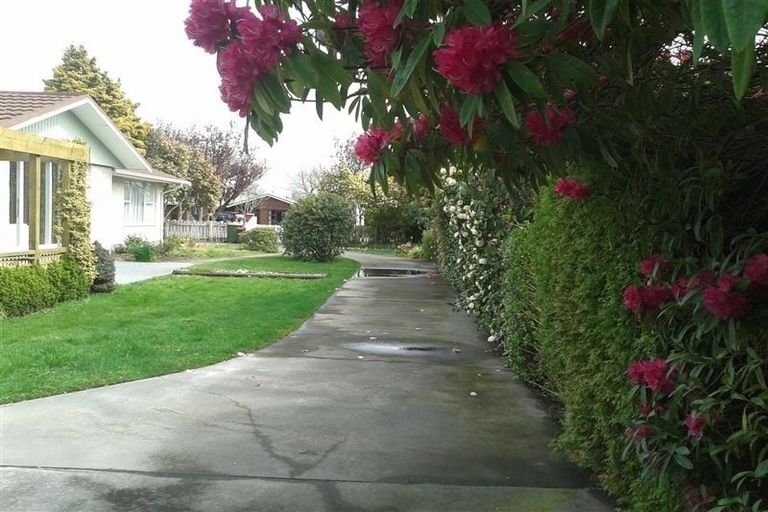 Photo of property in 17 Robert Street, Lincoln, 7608