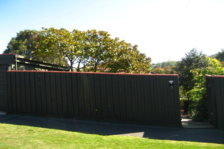 Photo of property in 3 Strathearn Avenue, Wakari, Dunedin, 9010