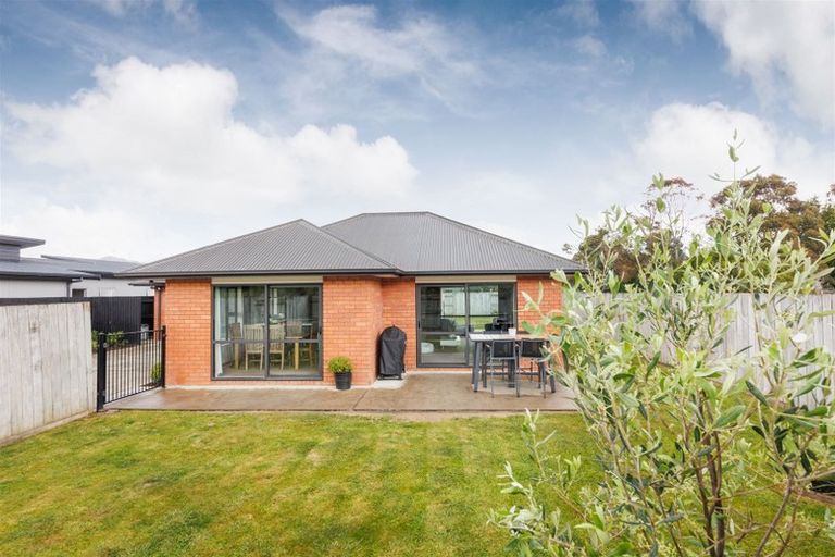 Photo of property in 137 Wyndham Street, Ashhurst, 4810