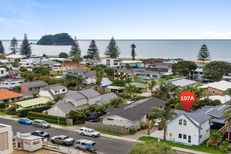 Photo of property in 107a Oceanview Road, Mount Maunganui, 3116