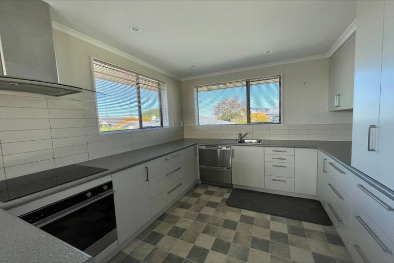 Photo of property in 22 Carlisle Place, Marchwiel, Timaru, 7910