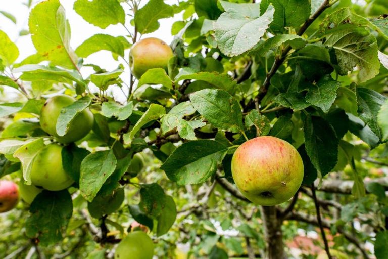 Photo of property in 124 Rolla Street, Normanby, Dunedin, 9010