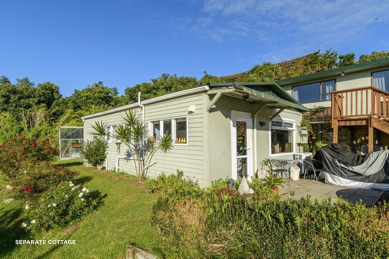 Photo of property in 313 Youngson Road, Whakamarama, Tauranga, 3179