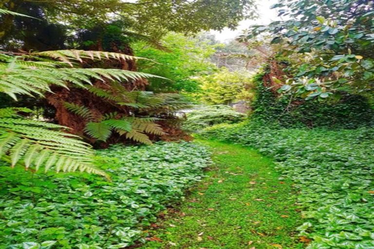 Photo of property in 174 Progress Valley Road, Progress Valley, Tokanui, 9884