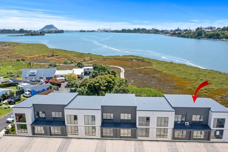 Photo of property in 11/29 Montgomery Road, Judea, Tauranga, 3110