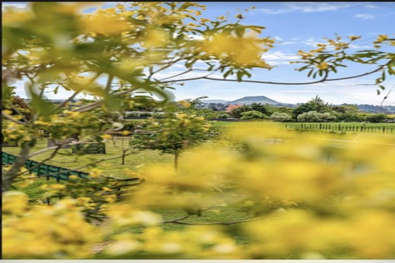 Photo of property in 278 Joyce Road, Pyes Pa, Tauranga, 3173