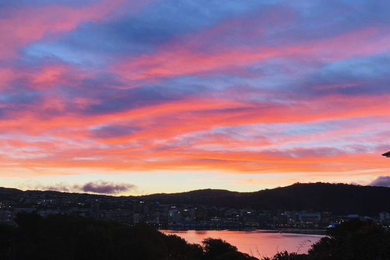 Photo of property in 46a The Crescent, Roseneath, Wellington, 6011