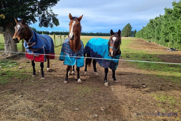 Photo of property in 143 Karanga Road, Dunsandel, Leeston, 7682