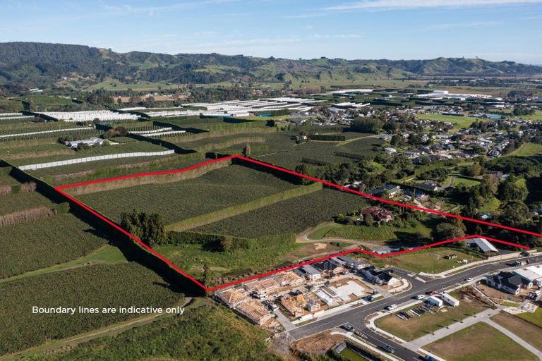 Photo of property in 81 Dunlop Road, Te Puke, 3119