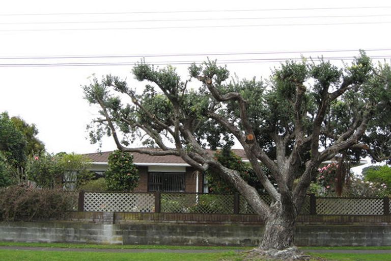 Photo of property in 2/17 Whiteley Street, Moturoa, New Plymouth, 4310