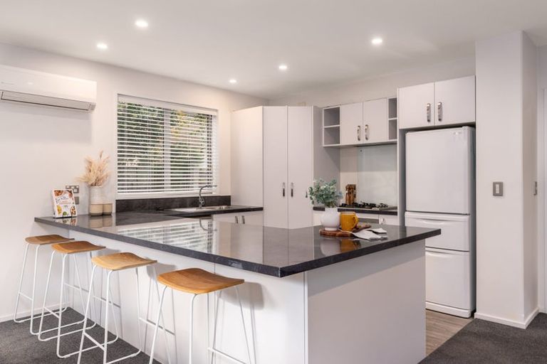 Photo of property in 1b Amstel Lane, Richmond, Christchurch, 8013