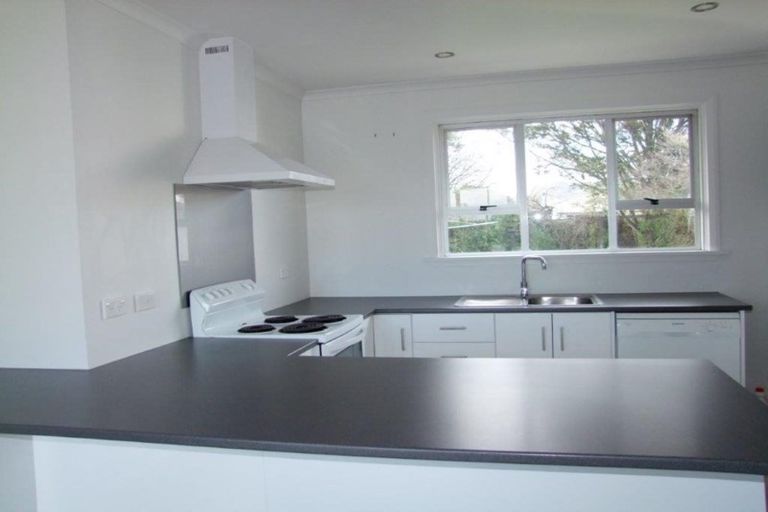 Photo of property in 217 Union Street, Milton, 9220