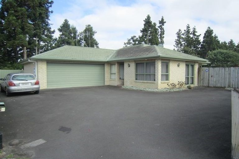 Photo of property in 12 Hastings Place, Hamilton Lake, Hamilton, 3204