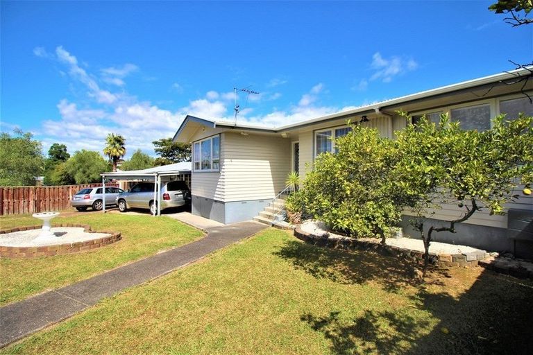 Photo of property in 133 Riverpark Crescent, Henderson, Auckland, 0610