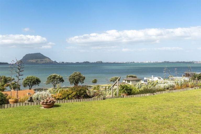 Photo of property in 31 Cooneys Drive, Matua, Tauranga, 3110