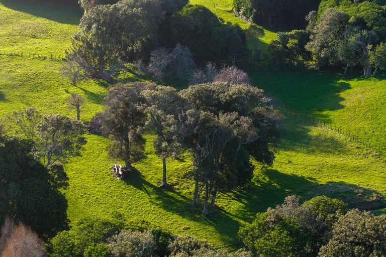 Photo of property in 4 Reikorangi Road, Waikanae, 5036