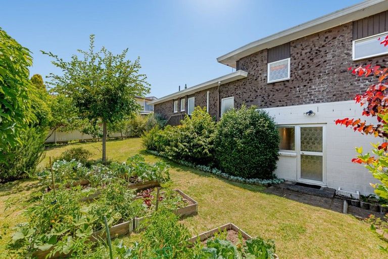 Photo of property in 89 Botanical Road, Tauranga South, Tauranga, 3112