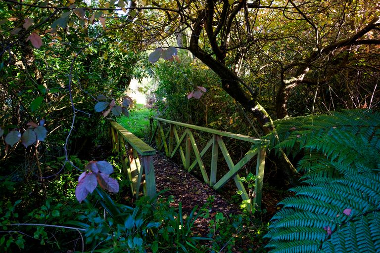 Photo of property in 741 Portobello Road, Broad Bay, Dunedin, 9014