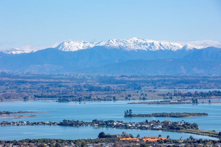 Photo of property in 38 Citrus Lane, Enner Glynn, Nelson, 7011