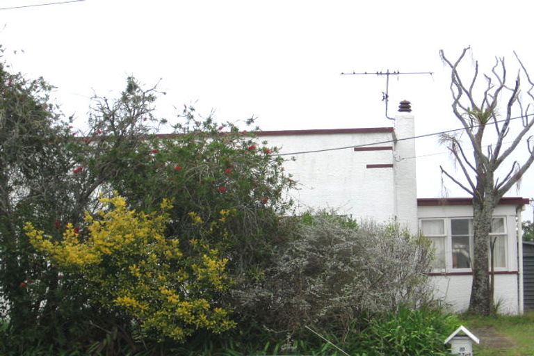 Photo of property in 20 Buscomb Avenue, Henderson, Auckland, 0610