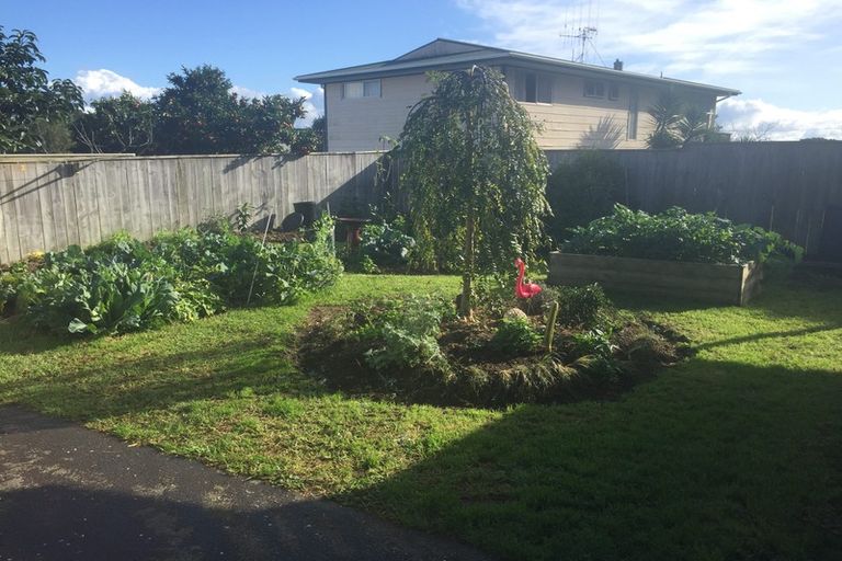 Photo of property in 107 Coromandel Street, Thames, 3500