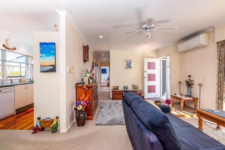 Photo of property in 133 Cockburn Street, Kuripuni, Masterton, 5810