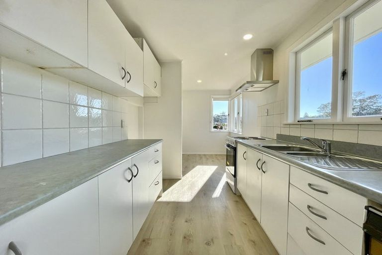 Photo of property in 20 Madison Place, Forrest Hill, Auckland, 0620