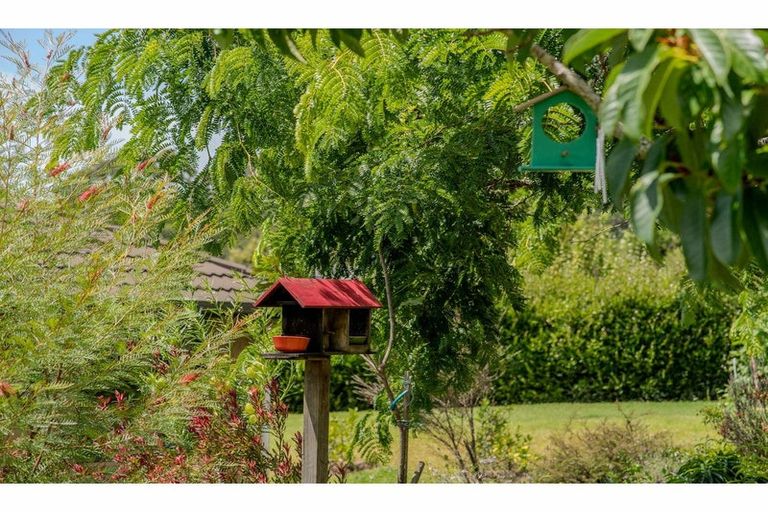 Photo of property in 29d Darwin Road, Kerikeri, 0230