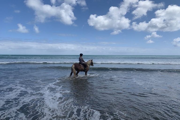 Photo of property in 119 Foreshore Road, Ahipara, Kaitaia, 0481