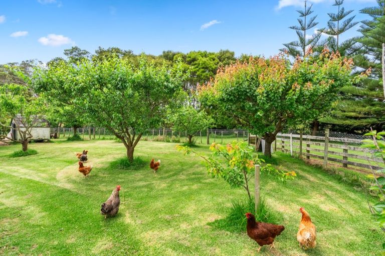 Photo of property in 842a South Head Road, South Head, Helensville, 0874