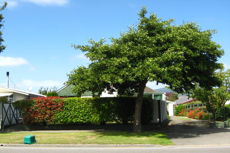 Photo of property in 145 Halswell Road, Hillmorton, Christchurch, 8025
