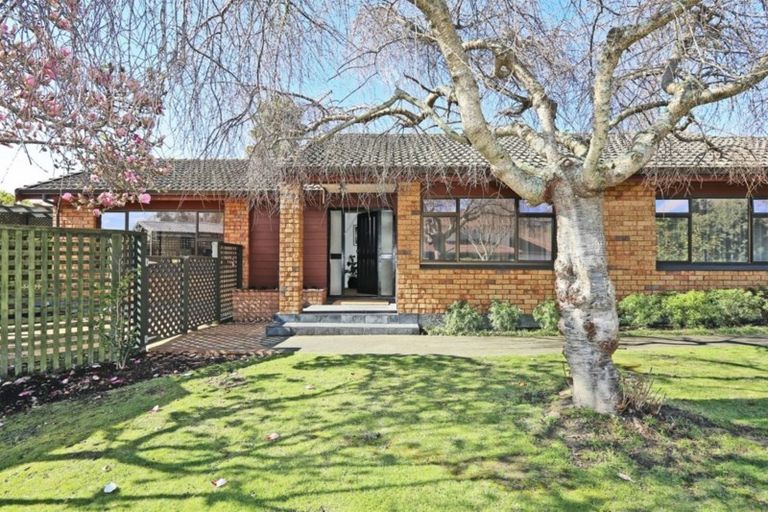 Photo of property in 63 James Cook Street, Havelock North, 4130