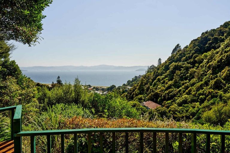 Photo of property in 55 Rona Street, Eastbourne, Lower Hutt, 5013