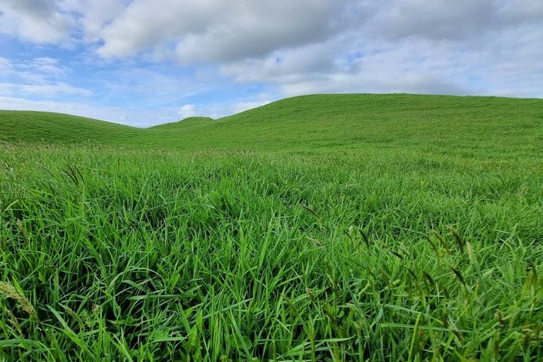 Photo of property in 165 Kereru Road, Glen Massey, Ngaruawahia, 3794