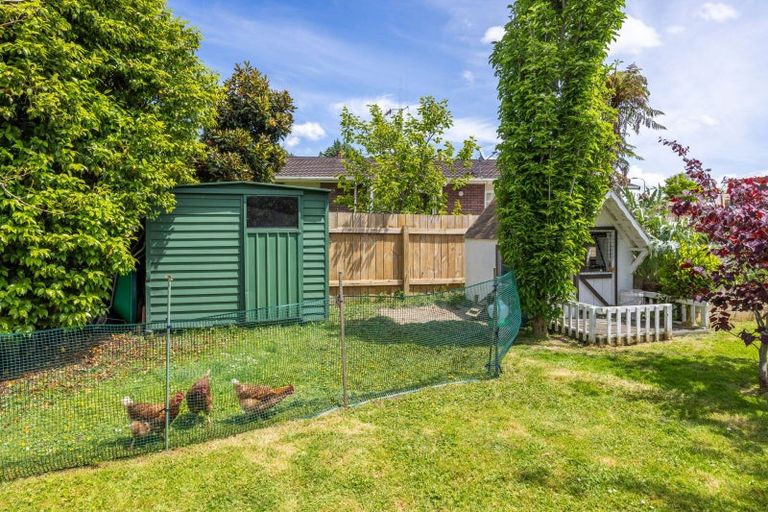 Photo of property in 8 Sharpley Place, Chartwell, Hamilton, 3210