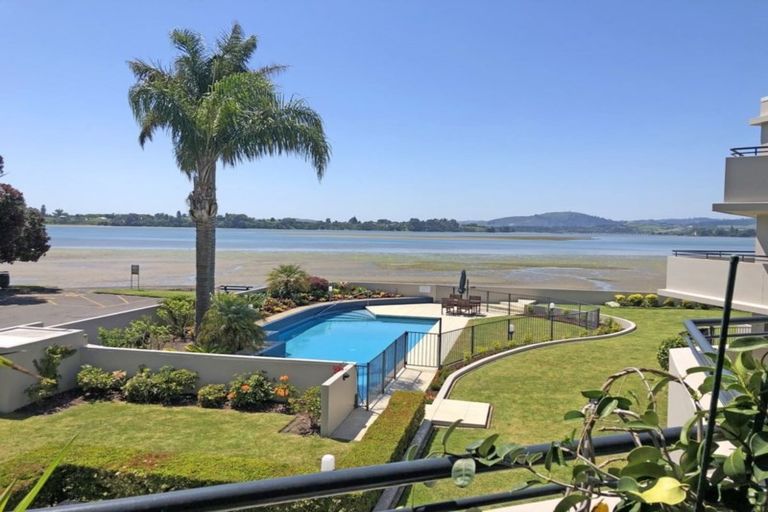 Photo of property in 4/2 Sixth Avenue, Tauranga, 3110