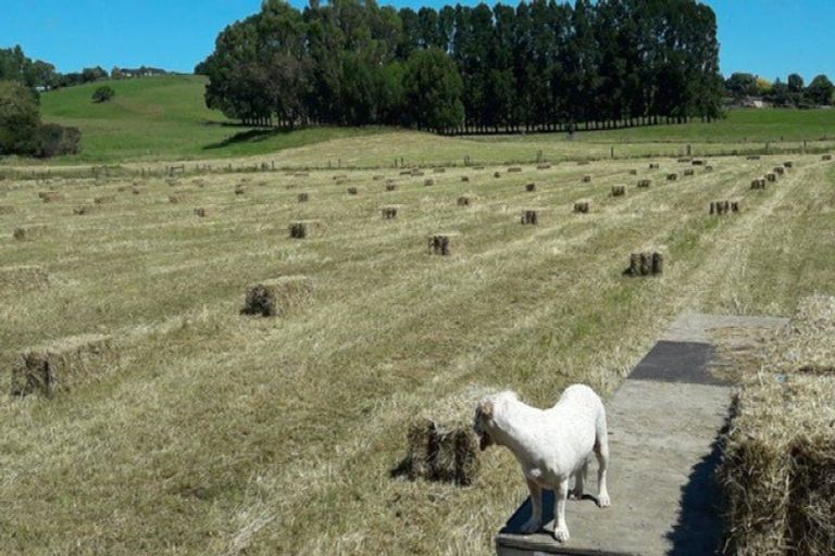 Photo of property in 105 Willis Road, Ngahinapouri, Hamilton, 3290