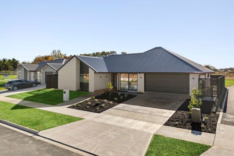 Photo of property in 14 Hauhake Terrace, Leamington, 3495