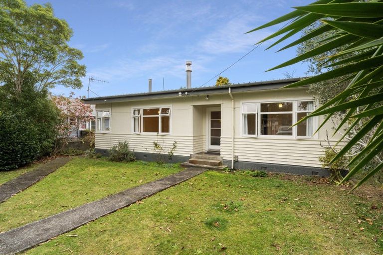 Photo of property in 13 Tongariro Street, Paraparaumu, 5032