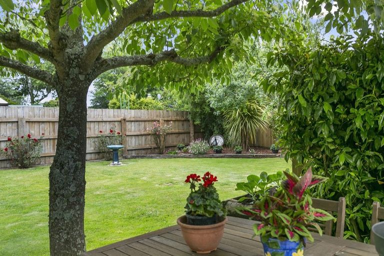 Photo of property in 6 Buckland Place, Cambridge, 3434