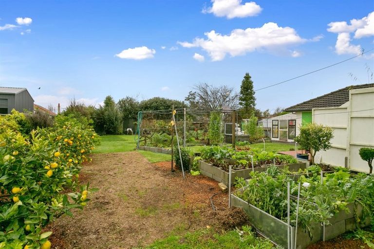 Photo of property in 52 Neal Street, Putaruru, 3411