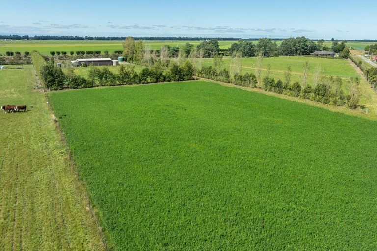 Photo of property in 1436 Saunders Road, Hororata, Darfield, 7572