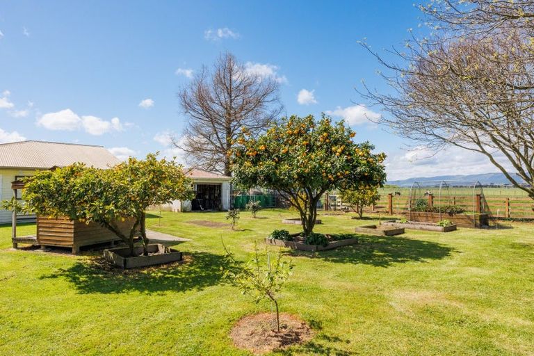 Photo of property in 485 Poplar Road, Opiki, Palmerston North, 4474