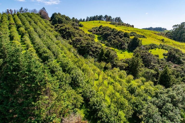 Photo of property in 64 De Boer Lane, Mangawhai, Kaiwaka, 0573