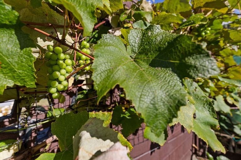 Photo of property in 61 Mallard Drive, Selwyn Heights, Rotorua, 3015