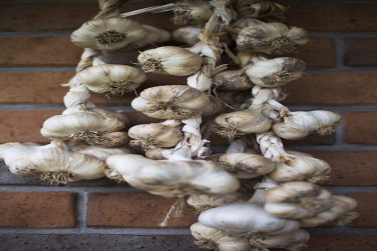 Photo of property in 17 Pekanga Drive, Fox Glacier, 7886