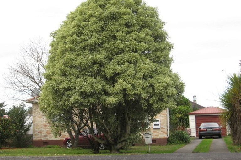 Photo of property in 288 Clarkin Road, Fairfield, Hamilton, 3214