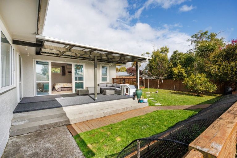Photo of property in 50 Sheffield Street, Awapuni, Palmerston North, 4412