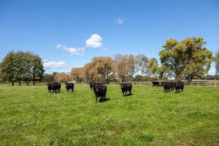 Photo of property in Taihoa Road South, Matamata, 3473