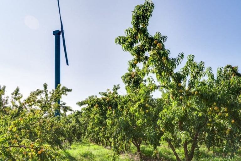 Photo of property in 238 Stock Road, Bridge Pa, Hastings, 4175